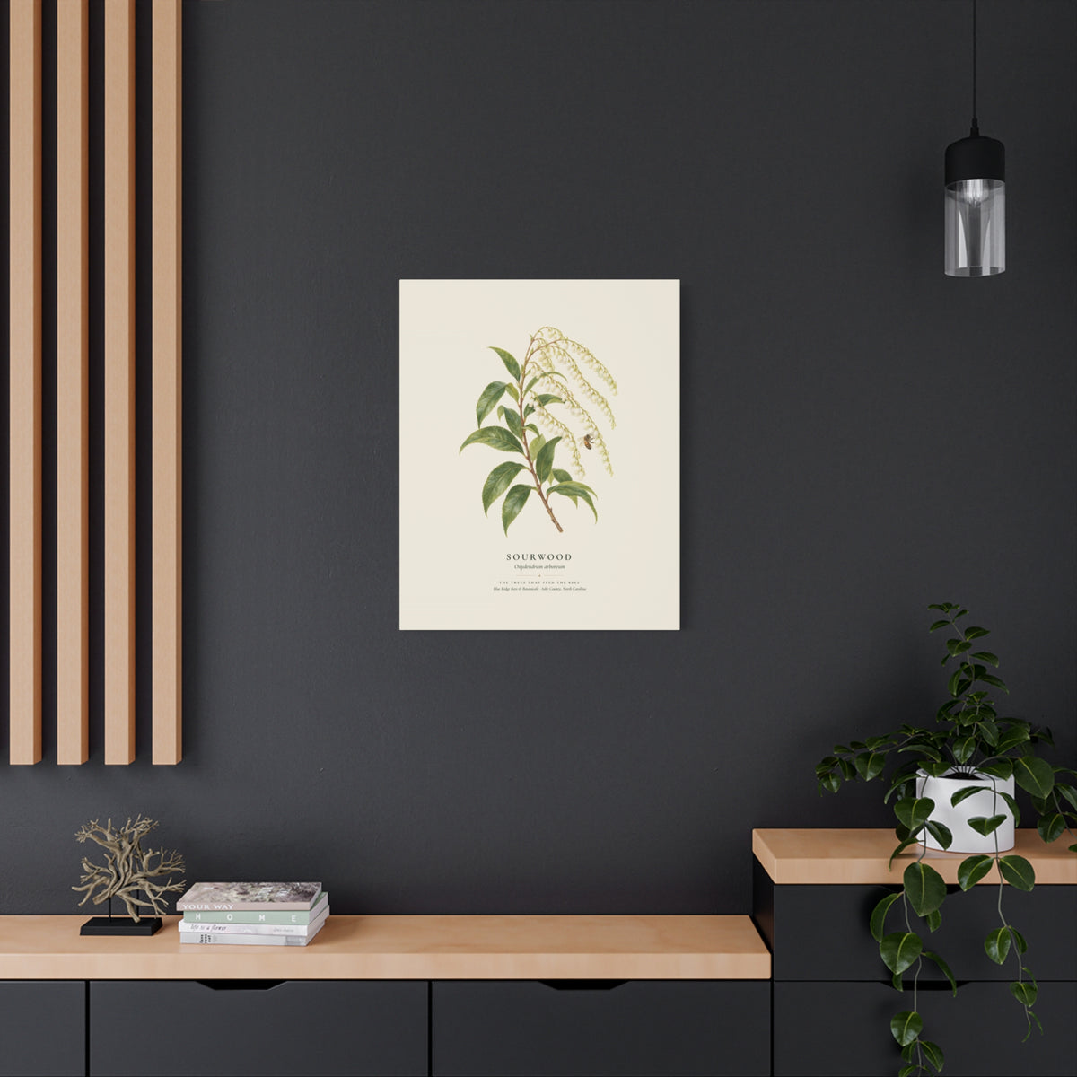 Sourwood Canvas Print