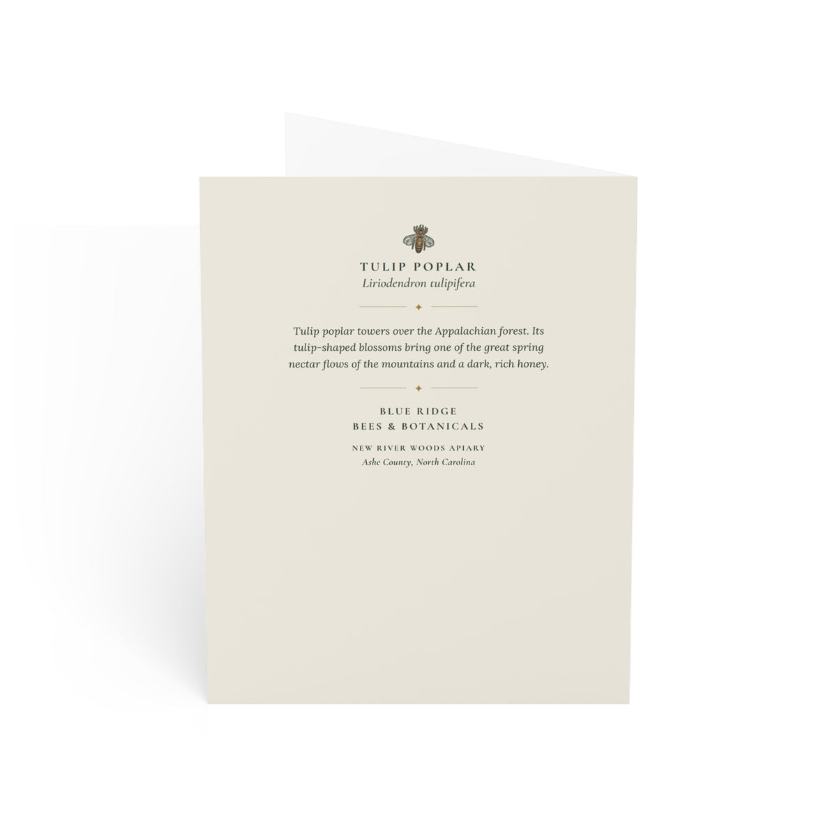 Tulip Poplar Note Card