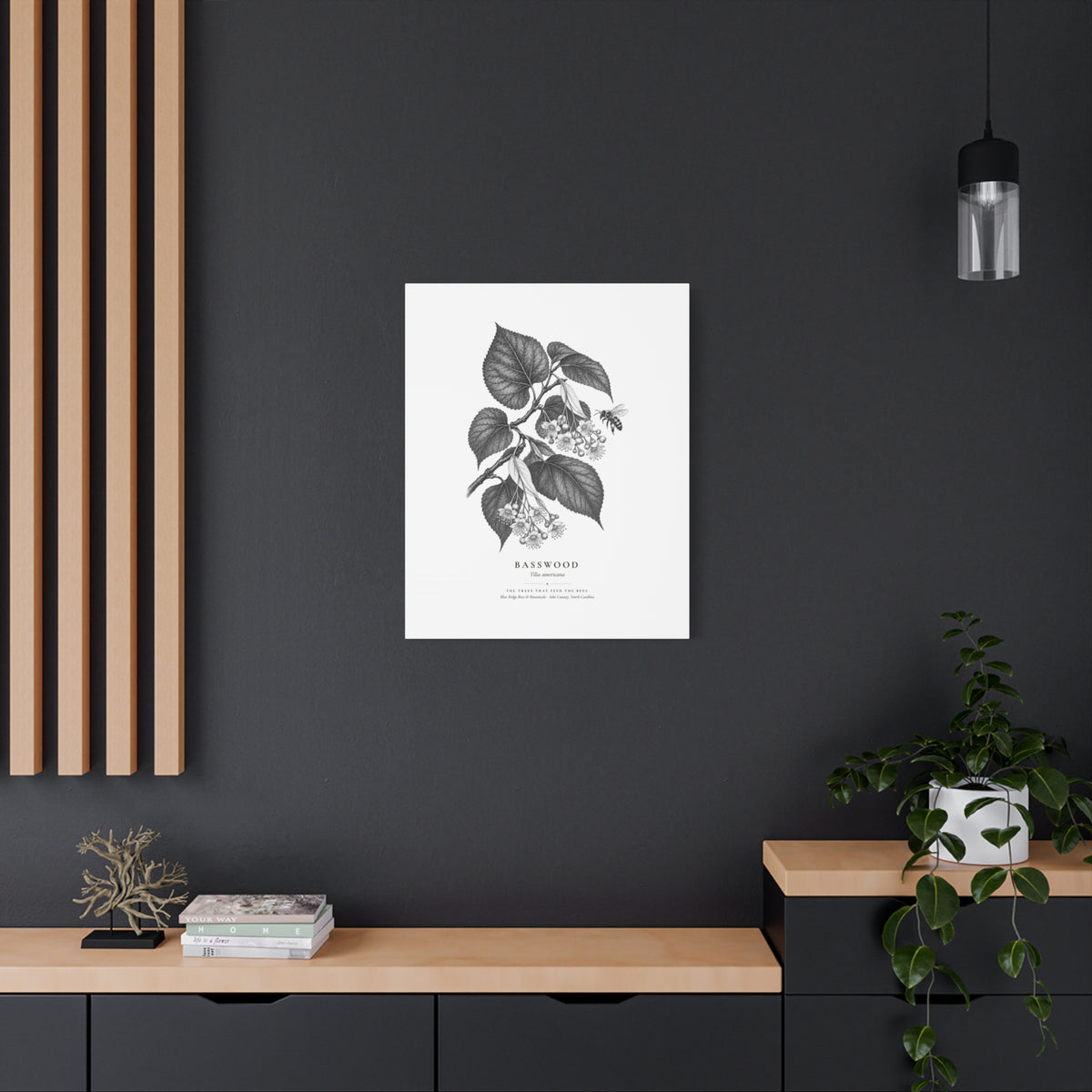 Basswood Canvas Print (Black & White)