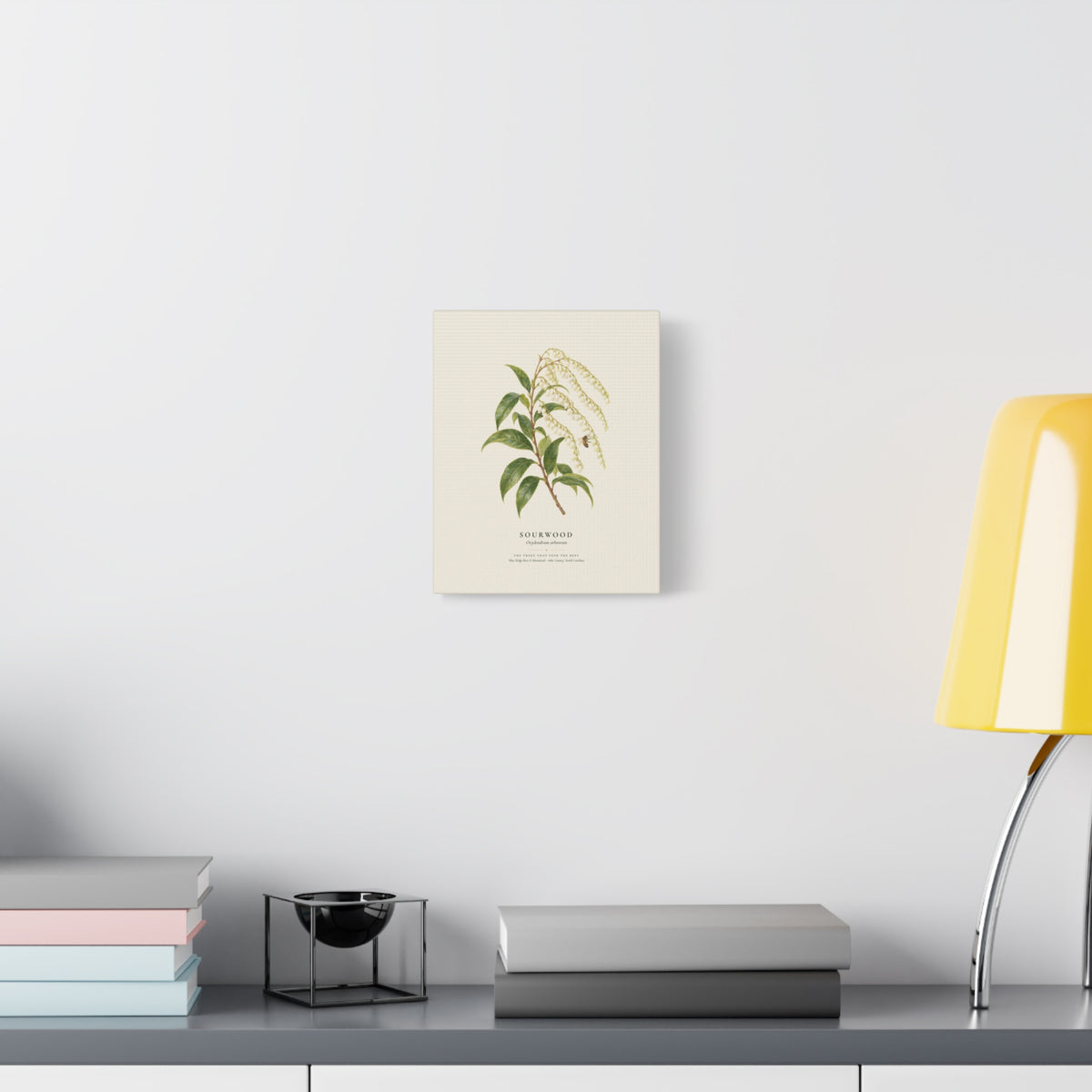 Sourwood Canvas Print
