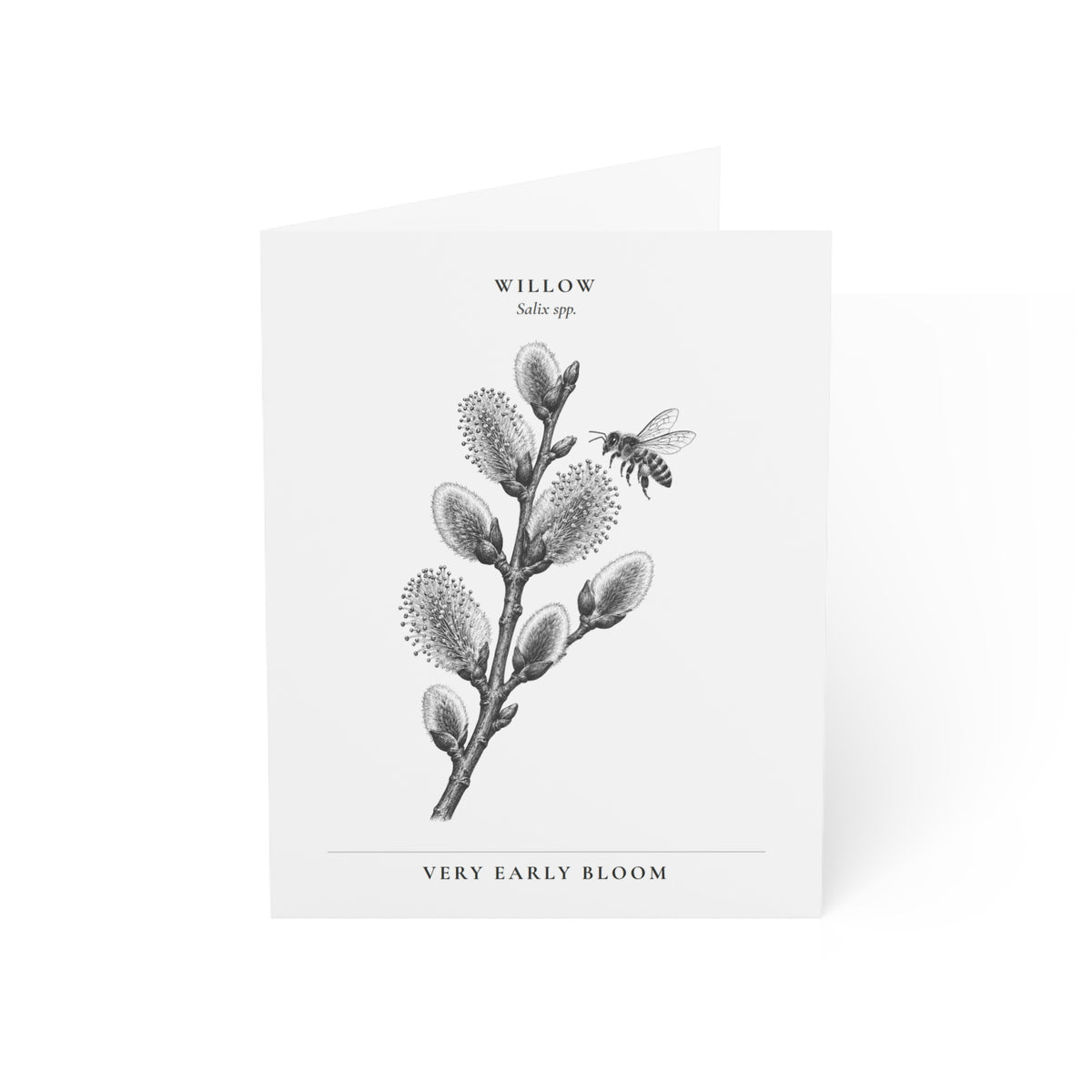 Willow Note Card (Black & White)