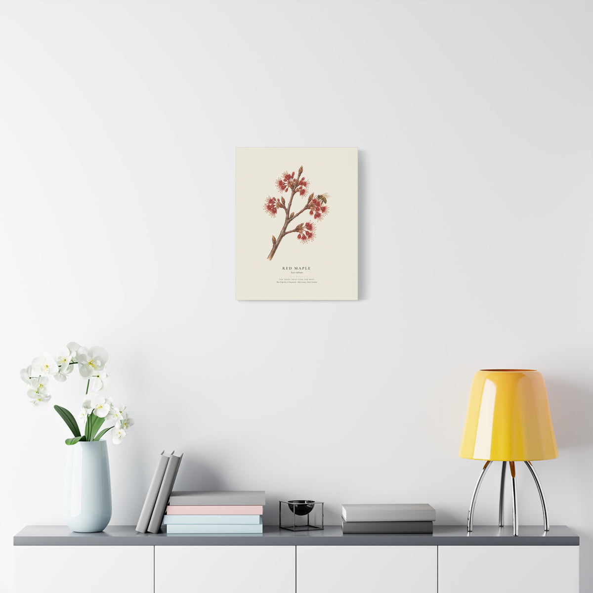 Red Maple Canvas Print