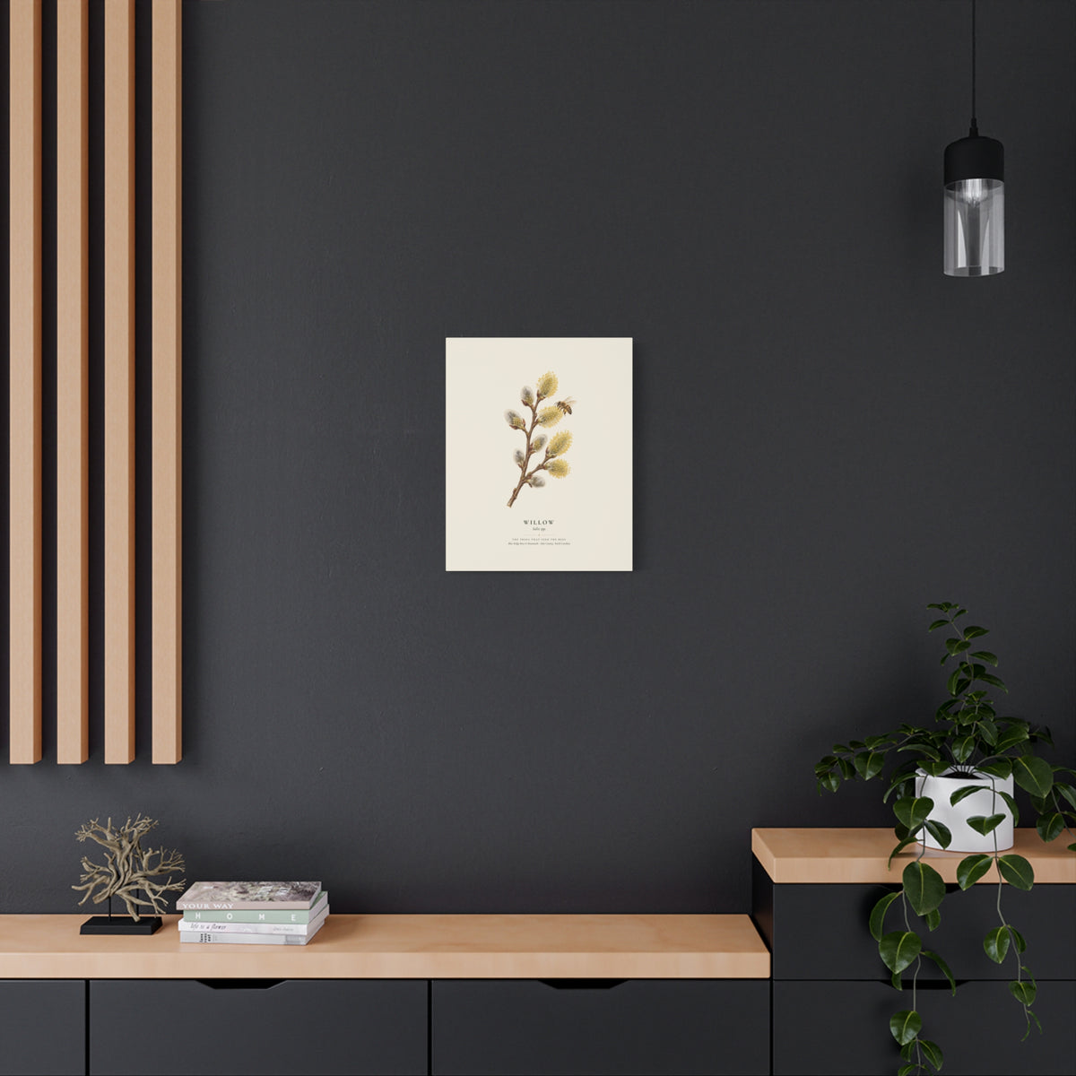 Willow Canvas Print