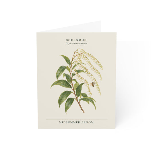 Sourwood Note Card
