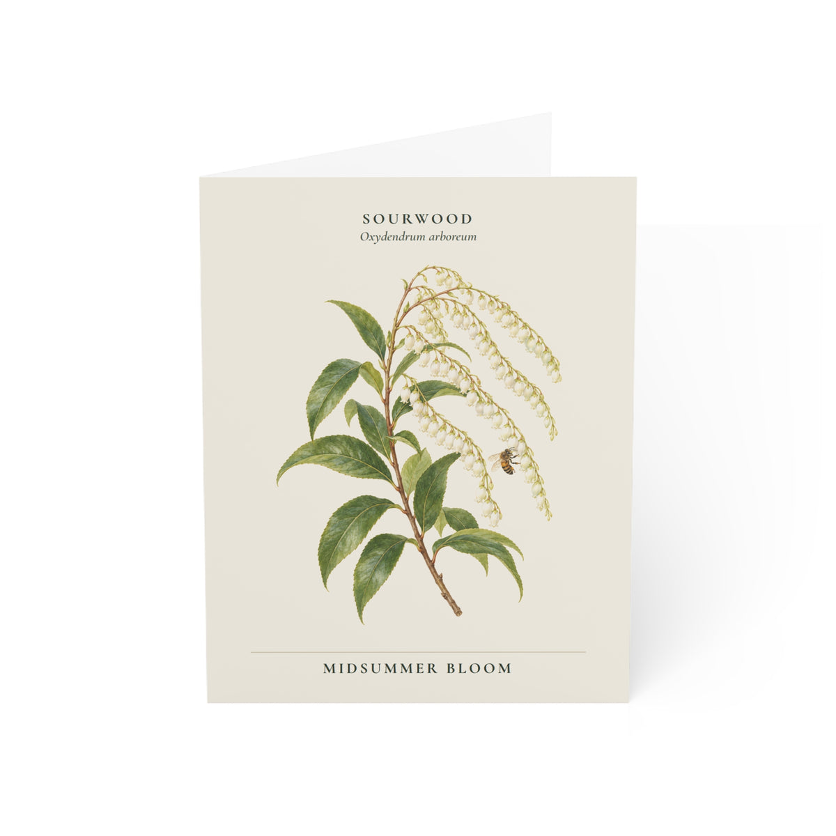 Sourwood Note Card