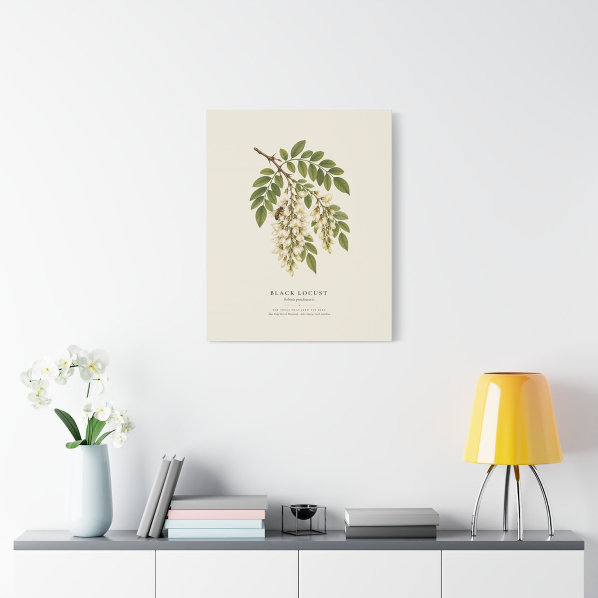 Black Locust Canvas Print